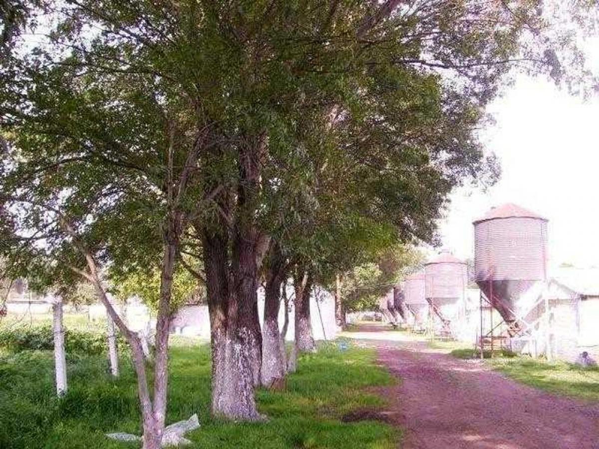  Land in Ciudad Nezahualcoyotl, Mexico No. 203775