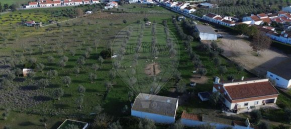 6 غرف نوم منزل في Avis, Portugal رقم 70597 10