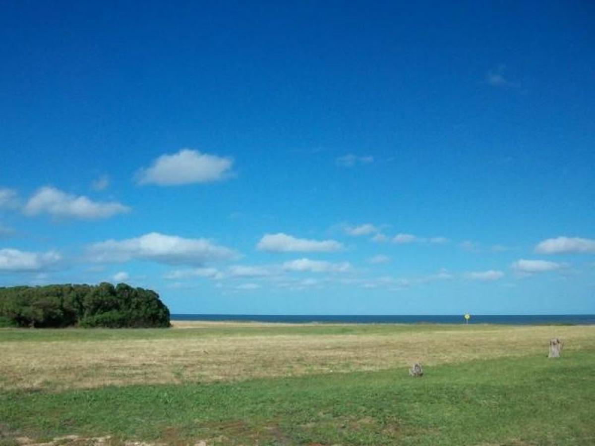 قطعة أرض في Mar del Plata, Argentina رقم 110728