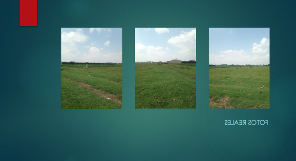 Terrain à Mexico No. 204802