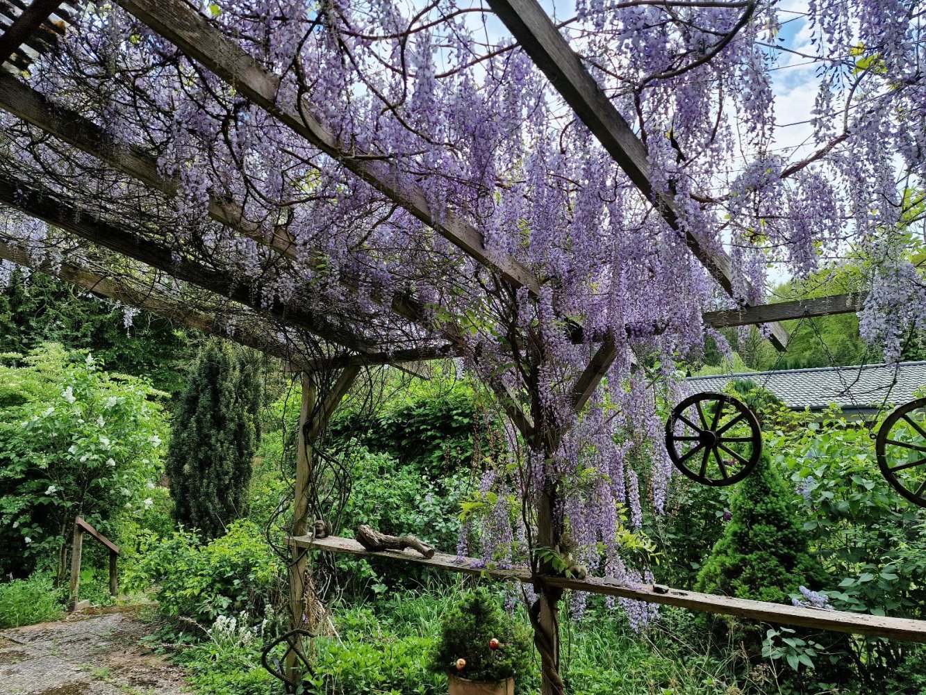 3 bedrooms Bungalow in Emsland, Germany No. 217810