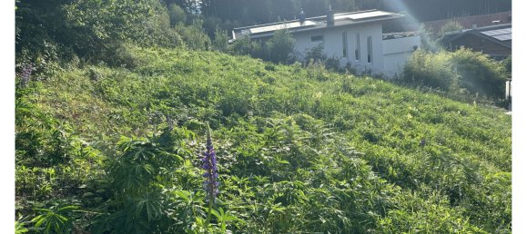 Terreno en Aldrans, Austria No. 166420 8