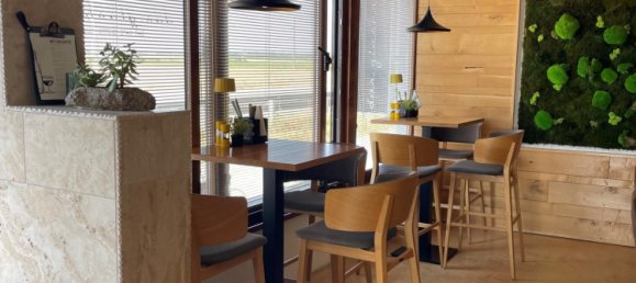 Коммерческая недвижимость 375м² в Траутмансдорф ан дер Лайта, Австрия № 134171 9