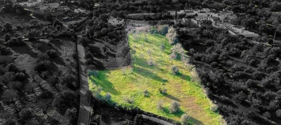 7 bedrooms House in Albufeira, Portugal No. 187733 13