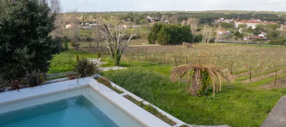 14 Schlafzimmer Haus in Colares, Portugal, Nr. 144644 31