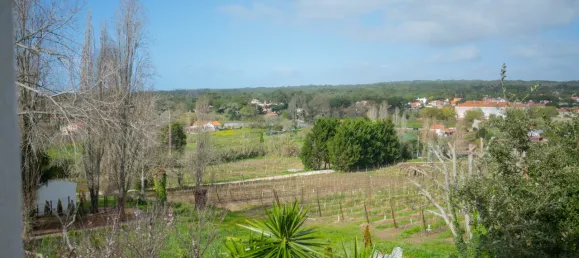 14 Schlafzimmer Haus in Colares, Portugal, Nr. 144644 50