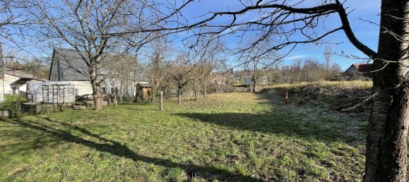 4 chambres Maison à Jettingen, France No. 86562 8