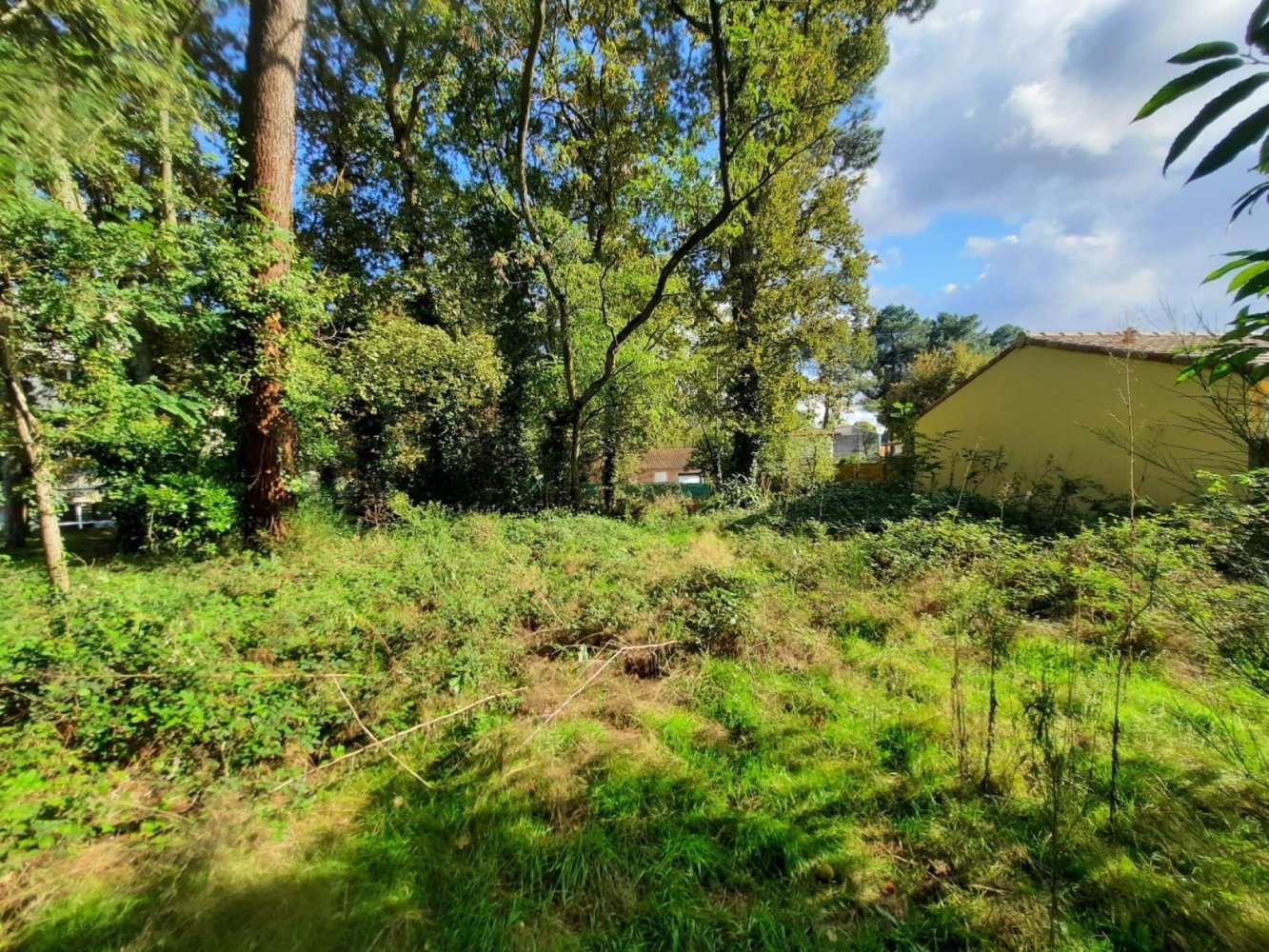 895m² Land in Langon, France No. 112516
