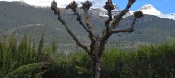 2 bedrooms Penthouse in Huesca, Spain No. 172462 25