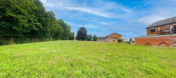  Land in Weiz, Austria No. 219998 8