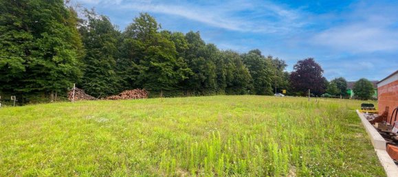  Land in Weiz, Austria No. 219998 6