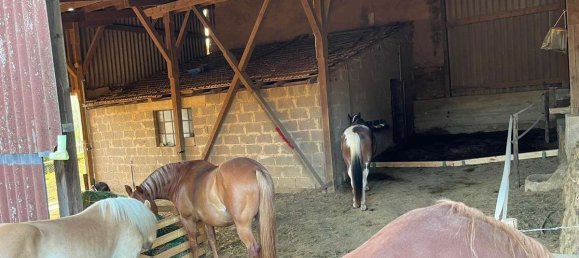 3 bedrooms House in Saarlouis, Germany No. 57939 17