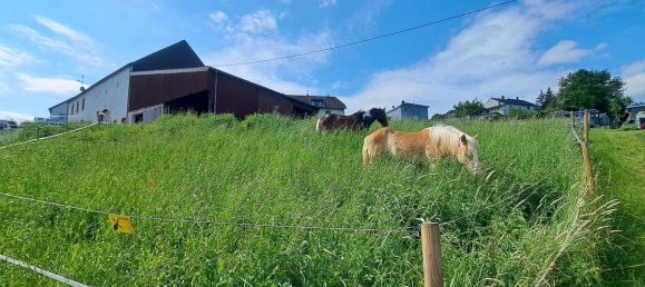 3 bedrooms House in Saarlouis, Germany No. 57939 20