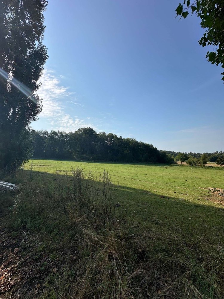  قطعة أرض في Neustadt an der Waldnaab, Germany رقم 128498