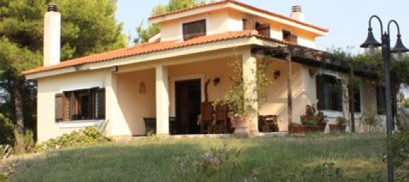 260m² Villa in Chalkidiki, Greece No. 8153 6