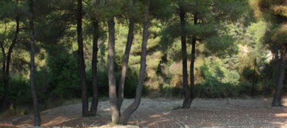 260m² Villa in Chalkidiki, Greece No. 8153 5