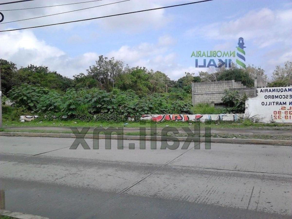 Terrain à Veracruz, Mexico No. 203262