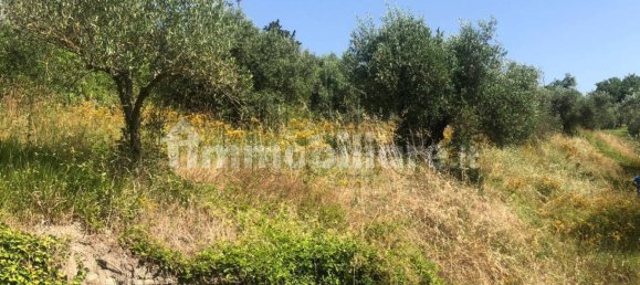 3 غرف نوم منزل في Umbertide, Italy رقم 153228 16