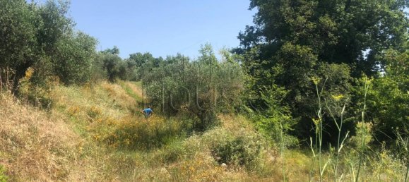 3 غرف نوم منزل في Umbertide, Italy رقم 153228 2