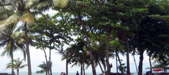 Apartamento com 1 quarto em condomínio em Pattaya, Thailand N.º 3760 3