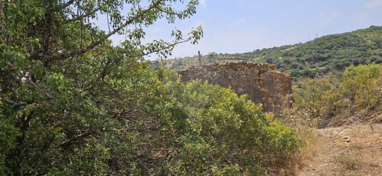 Casa T1 em São Brás de Alportel, Portugal N.º 186115