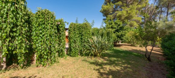 4 bedrooms House in Esporles, Spain No. 178126 4