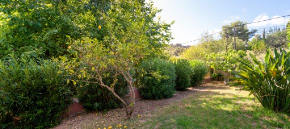 4 bedrooms House in Esporles, Spain No. 178126 5