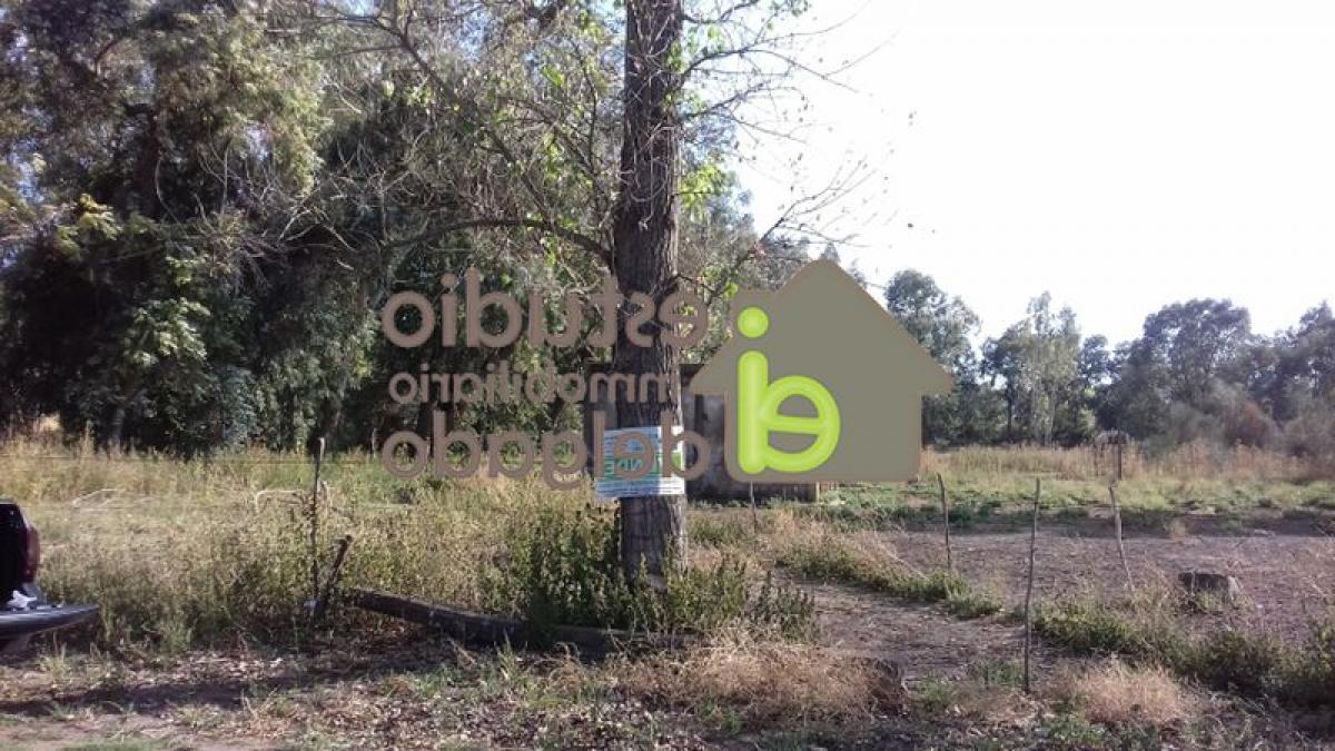  Land in Buenos Aires, Argentina No. 115311