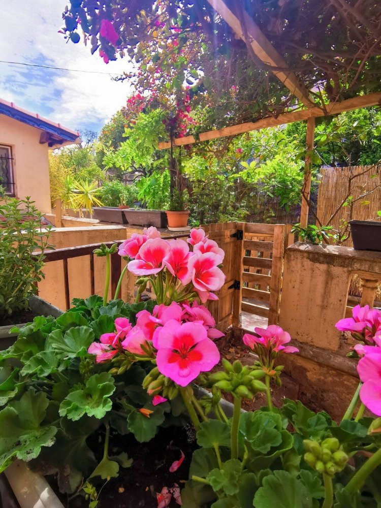 2 bedrooms Apartment in Cap-d'Ail, France No. 328964