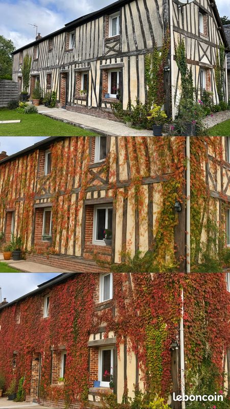 4 Schlafzimmer Haus in Seine-Maritime, France, Nr. 304980