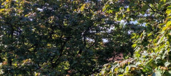 2 غرف نوم شقة في Schoneberg, Germany رقم 217834 19