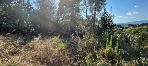  قطعة أرض في Llica De Vall, Spain 302متر مربع رقم 157180 8