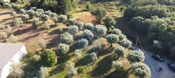 3 bedrooms House in Alvaiazere, Portugal No. 186016 2