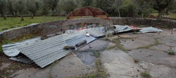 3 bedrooms House in Alvaiazere, Portugal No. 186016 38