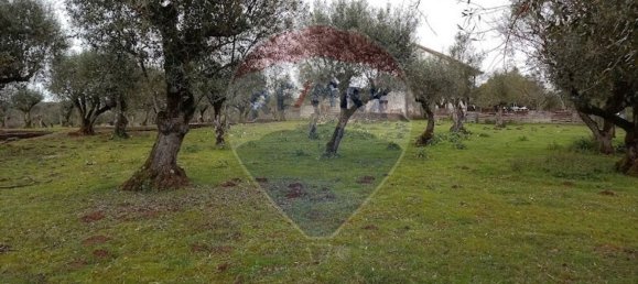 3 bedrooms House in Alvaiazere, Portugal No. 186016 42