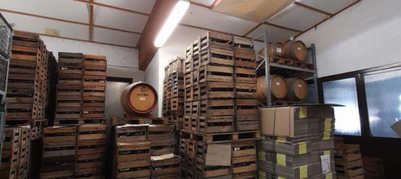 4 rooms Building in Bad Durkheim, Germany No. 117972 13