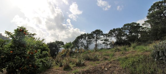 11 غرف نوم فيلا في Estepona, Spain رقم 144854 41