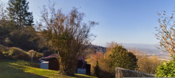 Земельный участок в Ремс-Мур, Германия № 60424 15