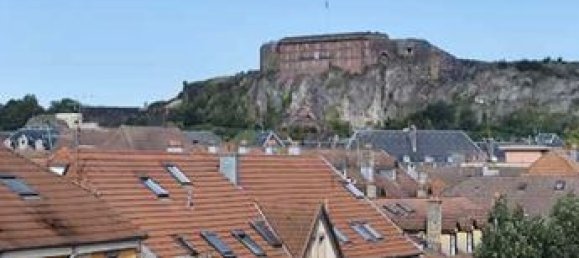 3 bedrooms Apartment in Belfort, France No. 356675 5