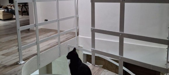 5 rooms Villa in Dozza, Italy No. 44581 22