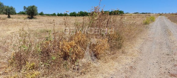 9250m² Land in Beja, Portugal No. 62724 4
