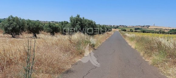 9250m² Land in Beja, Portugal No. 62724 7
