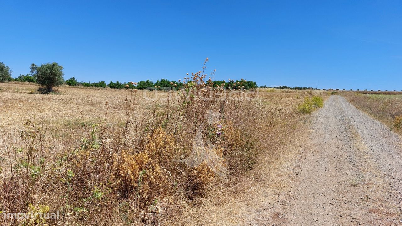 9250m² Land in Beja, Portugal No. 62724