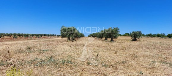 9250m² Land in Beja, Portugal No. 62724 19