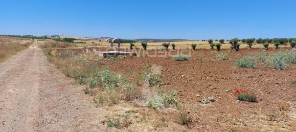9250m² Land in Beja, Portugal No. 62724 16