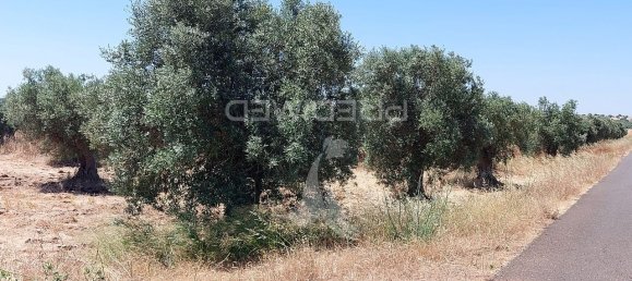 9250m² Land in Beja, Portugal No. 62724 12