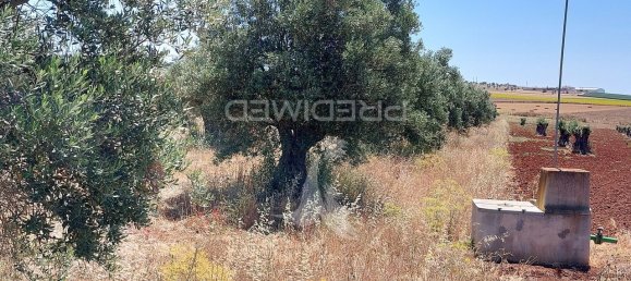 9250m² Land in Beja, Portugal No. 62724 15
