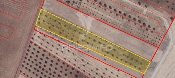9250m² Land in Beja, Portugal No. 62724 21