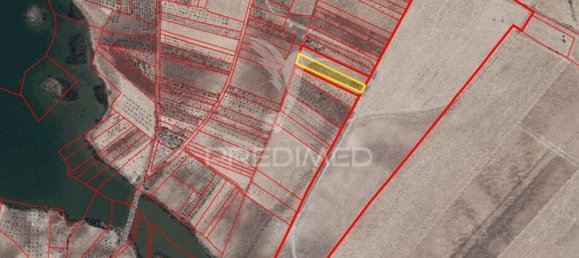 9250m² Land in Beja, Portugal No. 62724 20