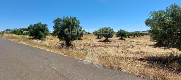 9250m² Land in Beja, Portugal No. 62724 5